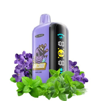 Одноразовая электронная сигарета Elf Bar GH Purple Mint 23000 тяг
