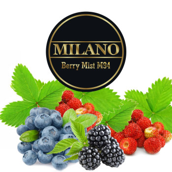 Табак для кальяна Milano Berry Mist 100 г