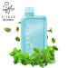 Siberian Mint
