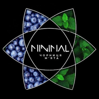 Тютюн для кальяну Minimal Blueberry Mint 50 г