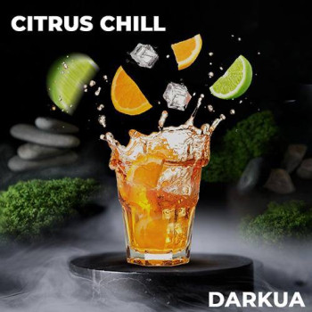Табак для кальяна DarkUa Citrus Chill 100 г