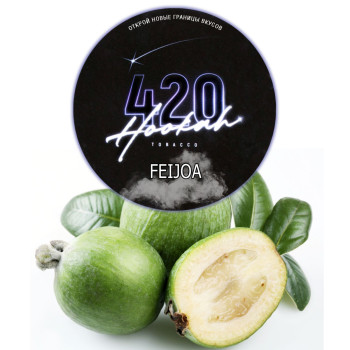 Тютюн для кальяну 420 Classic Feijoa 100 г