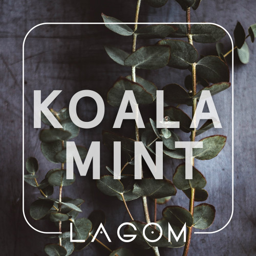 Koala Mint