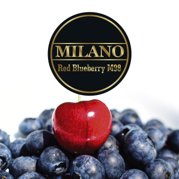 Табак для кальяна Milano Red Blueberry 100 г