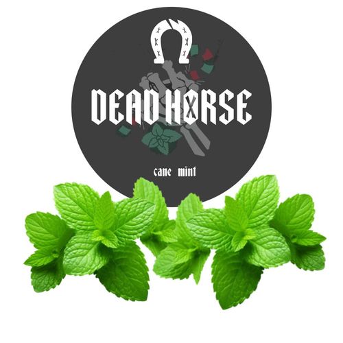 Cane Mint