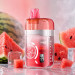 Watermelon Ice