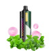 Bubble Gum Mint