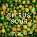 Citrus Sour