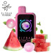 Watermelon Bubble Gum