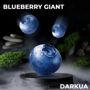 Табак для кальяна DarkUa Blueberry Giant 100 г